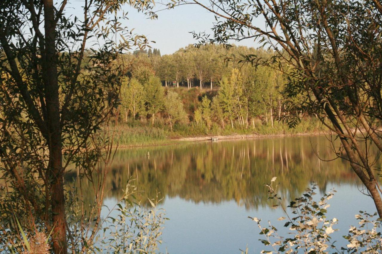 Agriturismo Il Selvino Terricciola Εξωτερικό φωτογραφία